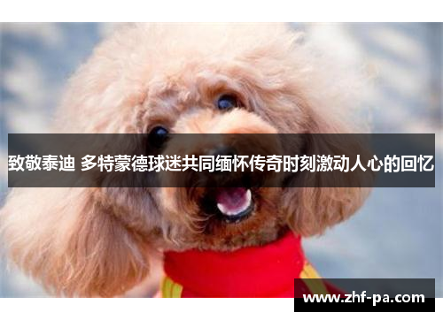 致敬泰迪 多特蒙德球迷共同缅怀传奇时刻激动人心的回忆